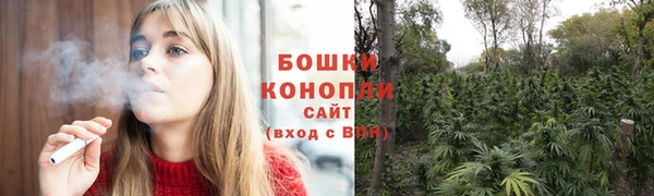 МДПВ Мегион