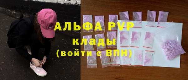 прущие грибы Медногорск
