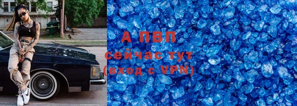 прущие грибы Медногорск