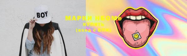 прущие грибы Медвежьегорск