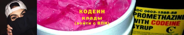 прущие грибы Медногорск