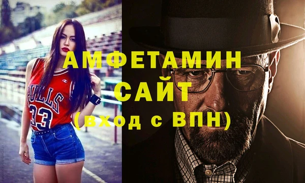 прущие грибы Медногорск