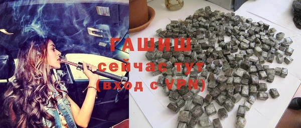прущие грибы Медногорск
