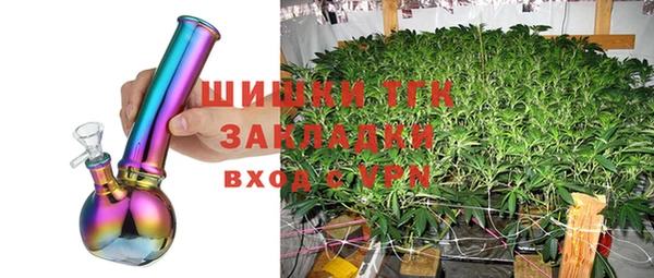 прущие грибы Медногорск