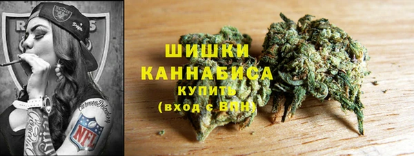 прущие грибы Медвежьегорск
