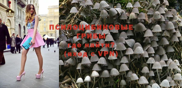 прущие грибы Медногорск