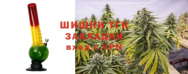 прущие грибы Медвежьегорск