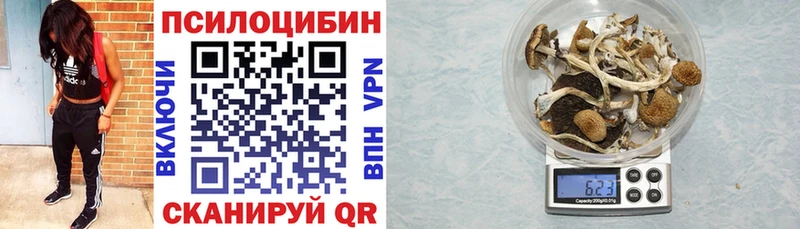 Купить где  Сухиничи  Псилоцибиновые грибы ЛСД 